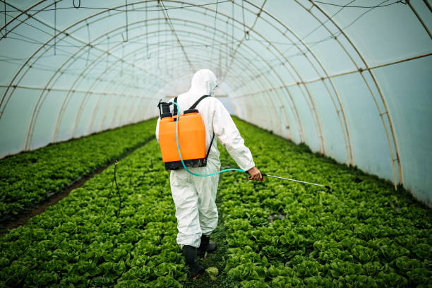 Best Pest Inspection Near Me  in Holbrook, AZ