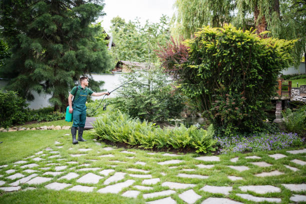 Best Wasp Removal Services  in Holbrook, AZ