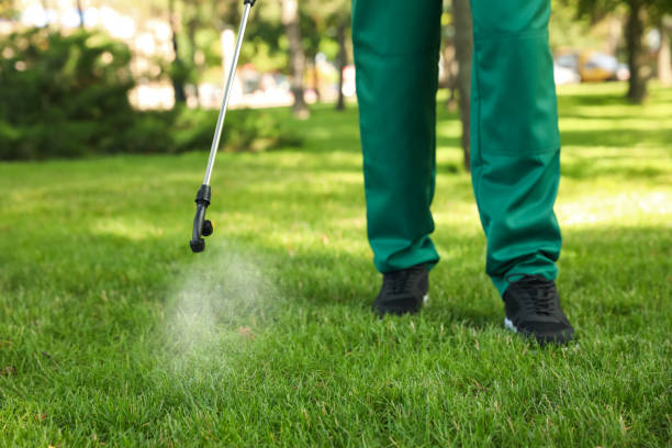 Flea Control Services in Holbrook, AZ