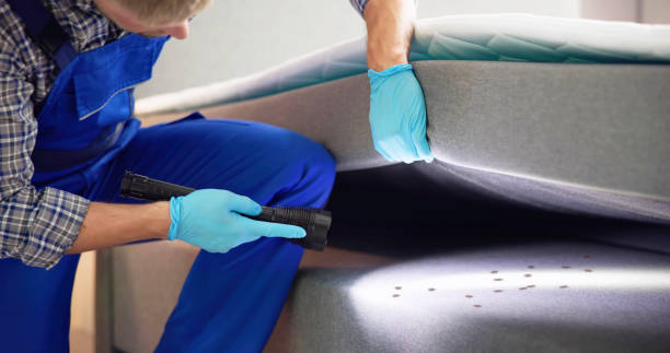 Best Best Pest Control Companies  in Holbrook, AZ