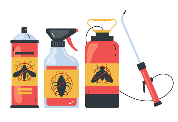Best Affordable Pest Control Services  in Holbrook, AZ