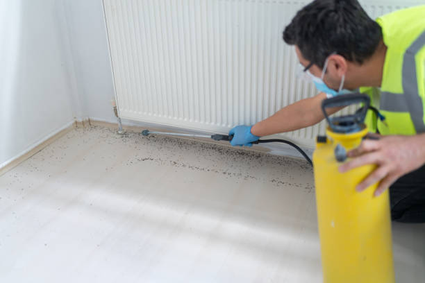 Best Pest Removal Services  in Holbrook, AZ